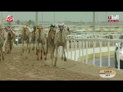 ش 4 (شايف) لـ سعد سالم بن حمد الهولي النعيمي 7:27:54 , مهرجان ختامي الشحانية 2026/04/21 لقايا