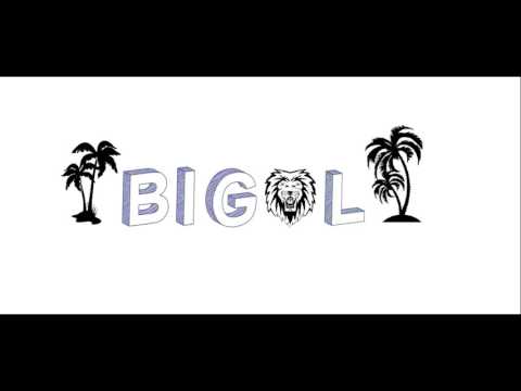 Hardwell - Follow Me VS Sander Van Doorn - Joyenergizer (Remix big L)