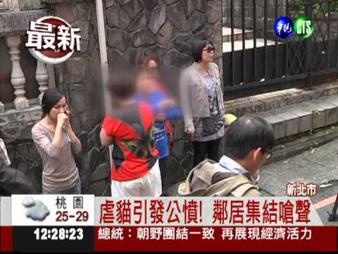 水.火虐死貓 法部調查員幹的!