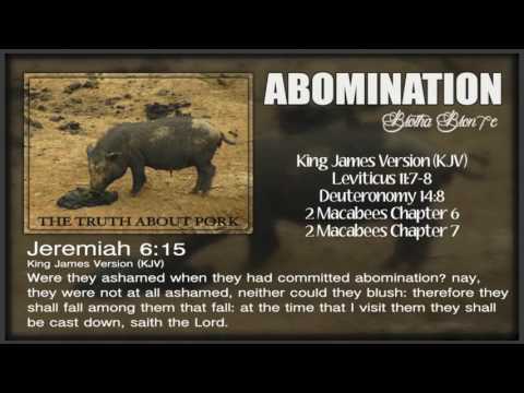 Brotha Bron7e - Abomination [The Truth about Pork] [Remixed by Bron7e]