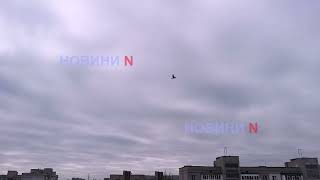 Вибухи у Миколаєві: над містом шахеди, працює ППО (відео)