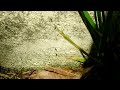 Tiny Cracks Attract Ants in Tuckerton, NJ