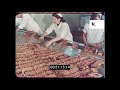 Sliced Bread Factory 1970s HD From 16mm