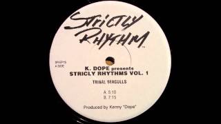 Kenny 'Dope' Gonzales - Tribal Seagulls