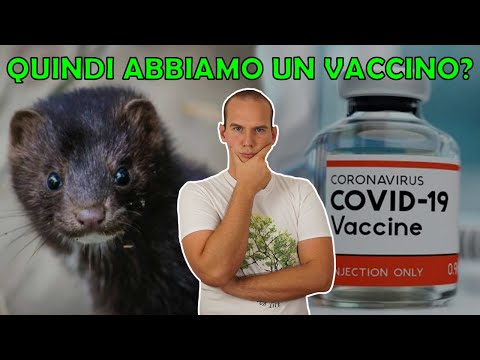 Sul VACCINO di Pfizer e sui VISONI contagiosi