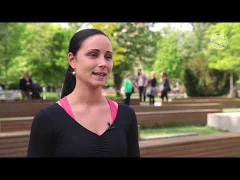 Folkudvar - Zalai sikerek