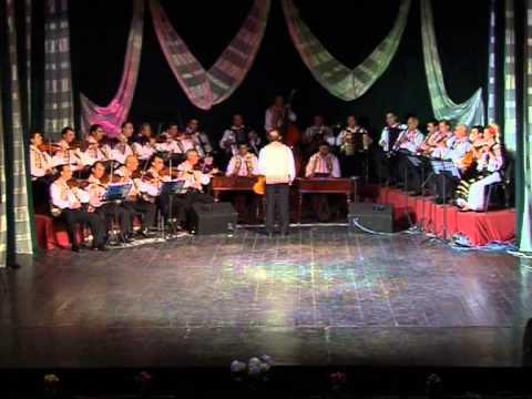 Doina Argesului- Braul lui Matache,dirijor:Marin Mihalcea