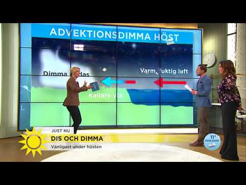Höstens poesiväder: Dimma, solrök och älvdans - Nyhetsmorgon (TV4)