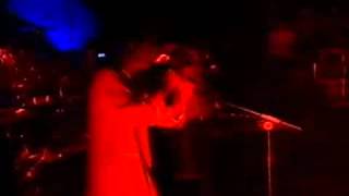 Tricky - Bombing Bastards (live)