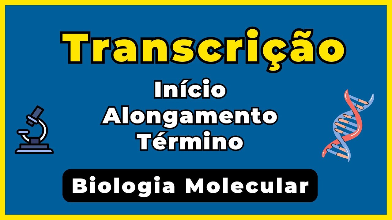 Transcrição - Etapas da transcrição: Início,  alongamento e término [Biologia molecular  2025]