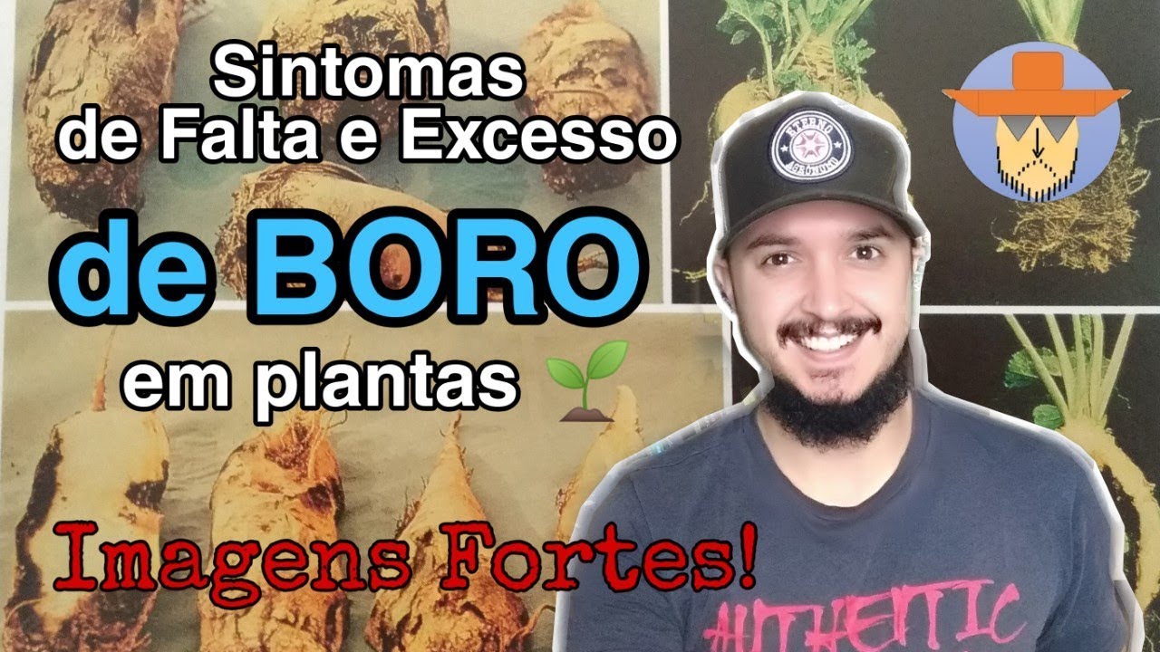 Falta ou excesso de Boro nas plantas? Fique atento!