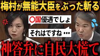 【速報】「国家国民のためになってない！！」参政党 梅村議員 環境大臣をぶった斬る　#参政党 　#梅村みずほ 　#国会　＃神谷宗幣
