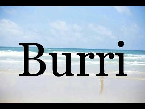 How To Pronounce Burri🌈🌈🌈🌈🌈🌈Pronunciation Of Burri
