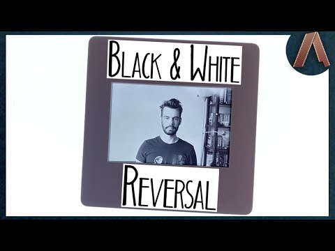 BLACK & WHITE REVERSAL Developing Without a Kit | Slides from Negative Film