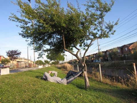 Frankent - Sin name 💤