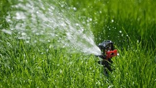 Hauswasserautomaten.com | Das Garten-Ratgeberportal | Tests & Kaufempfehlung