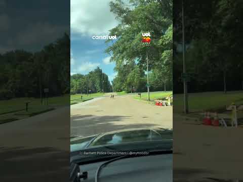 Dupla de cavalos escapa de casa e é resgatada pela polícia no Tennessee