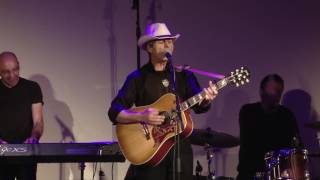 Lay Lady Lay, bob dylan tribute band