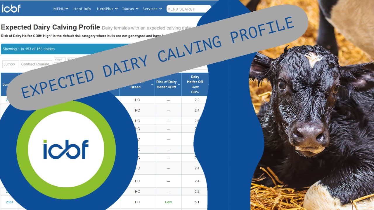 Dairy Expected Calving Profile Tutorial