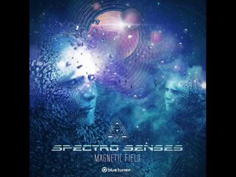 Spectro Senses - Magnetic Field ( Live Mix)