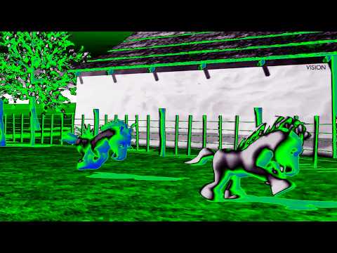 Caballo Verde  Y Es Tan Inteligente Que Hasta Sponsored by Gamavision Csupo Effects