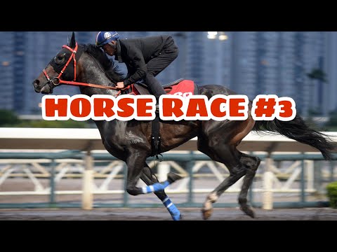 HORSE 🐎 RACING HAPPY VALLEY RACECOURSE
