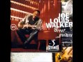 Joe Louis Walker - Low Down Dirty Blues