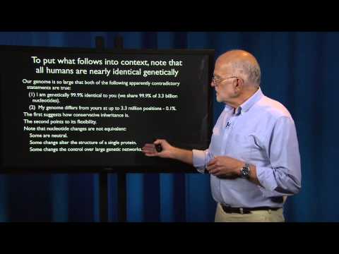 What is a Patient? Recent History