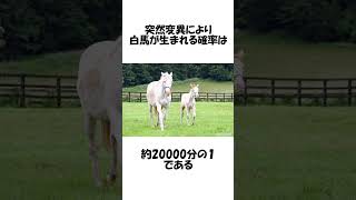 【競馬】競馬の雑学エピソード①   #競馬 #ウマ娘 #雑学