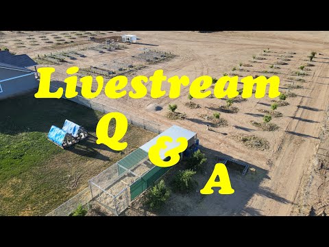 Livestream Q&A December 2021 |The Desert Farmer Podcast - Episode 7