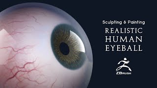 Sculpting & Painting a Realistic Human Eyeball with ZBrush