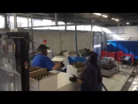 Glasbrecher GB-400 Brauerei Spendrups Schweden