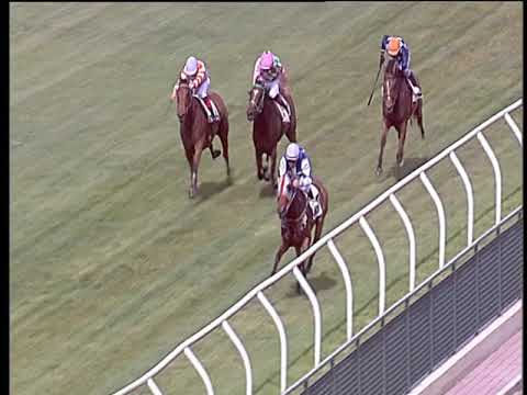 Galoppo 21/06/2019 - 1ª corsa