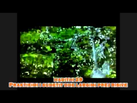 Një qështje e madhe / Hadithi 29