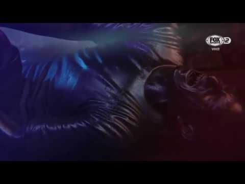 Copa Libertadores 2015 Intro