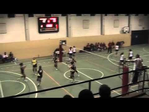 Volley serie D femminile Pallavolo Ferrara - Volley Vigarano