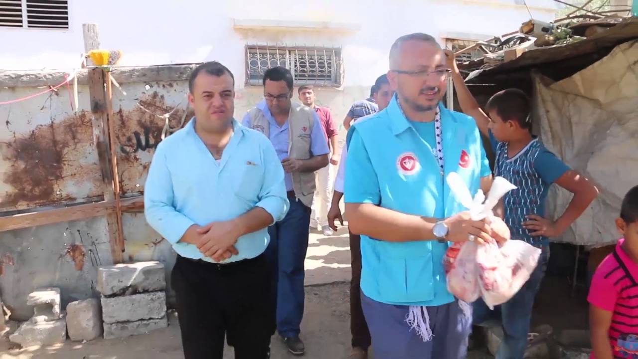 أضاحي بلدية جباليا 2016