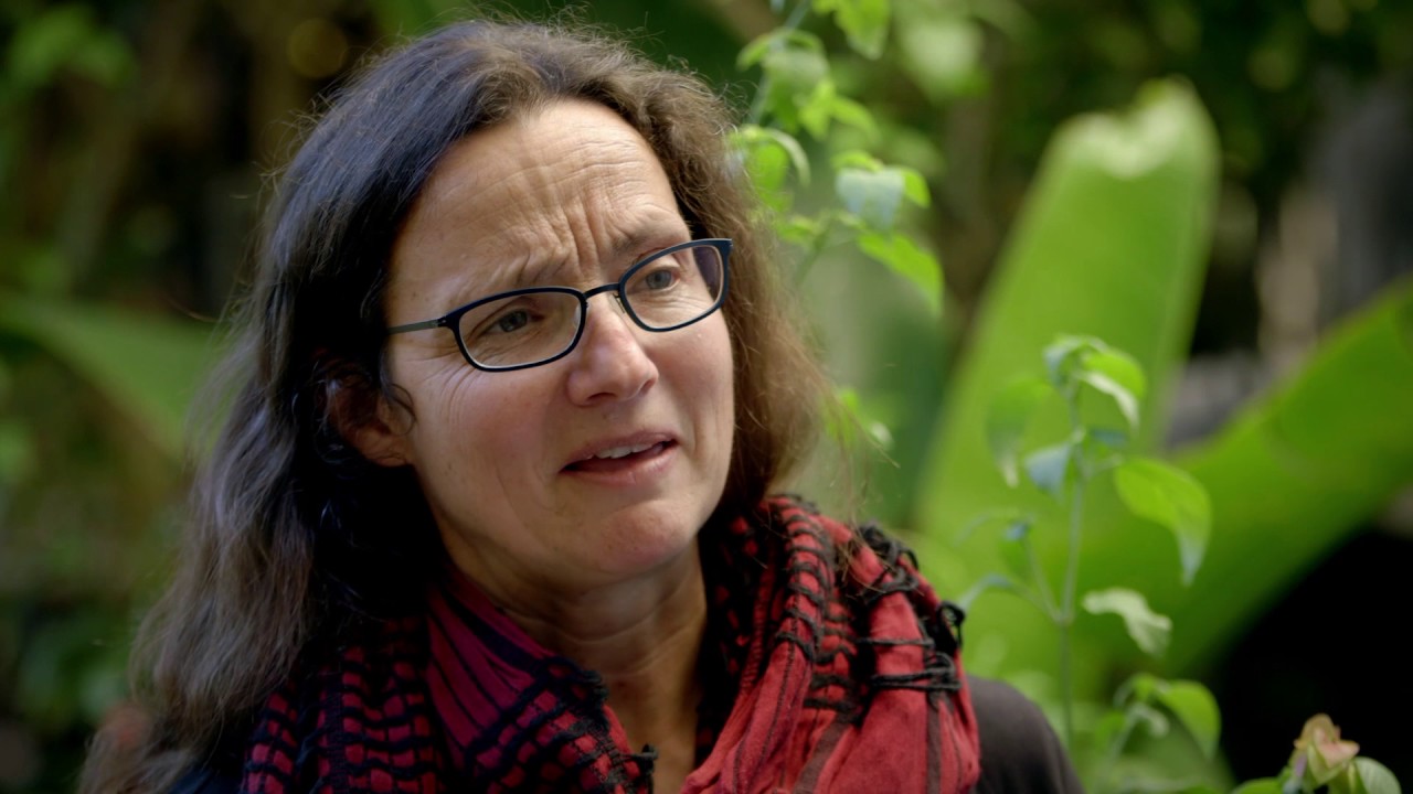 Inspirações | Imersão na natureza, em família | Criança e Natureza