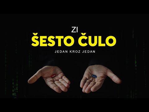 ZI - ŠESTO ČULO