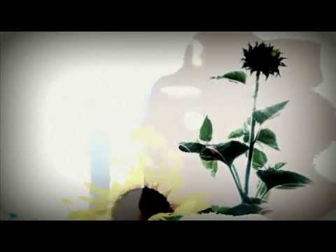 Video thumbnail for Heart Trouble Blues