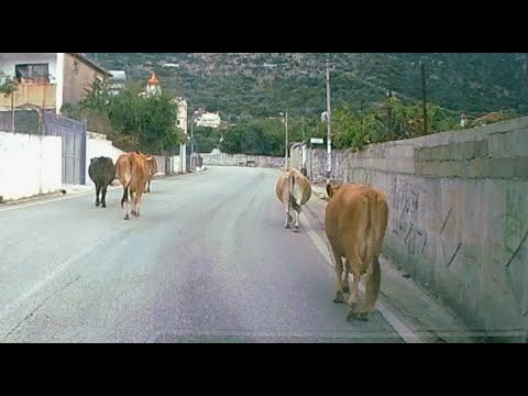 Vlora Bypass and Coast Road to Saranda Albania