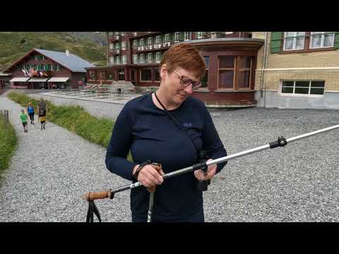 From Lauterbrunnen to Kleine Scheidegg - 5 Aug 22