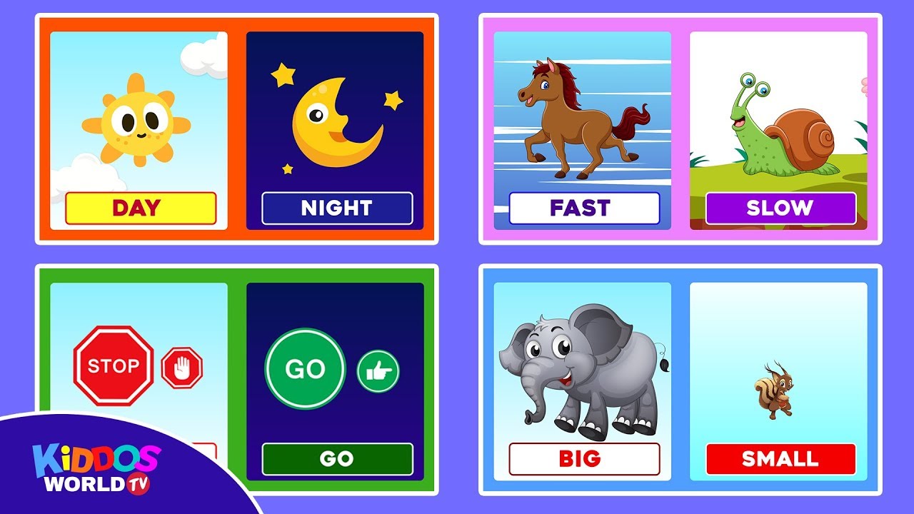 Learn Opposites Educational Video