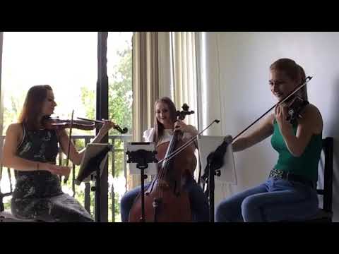 Promotional video thumbnail 3 for Stella Strings
