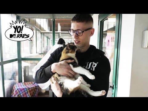 Massimo Pericolo, la musica e la passione per i gatti | YO! MTV Raps - Top Boy