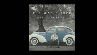 Steve Forbert - Tryna Let It Go