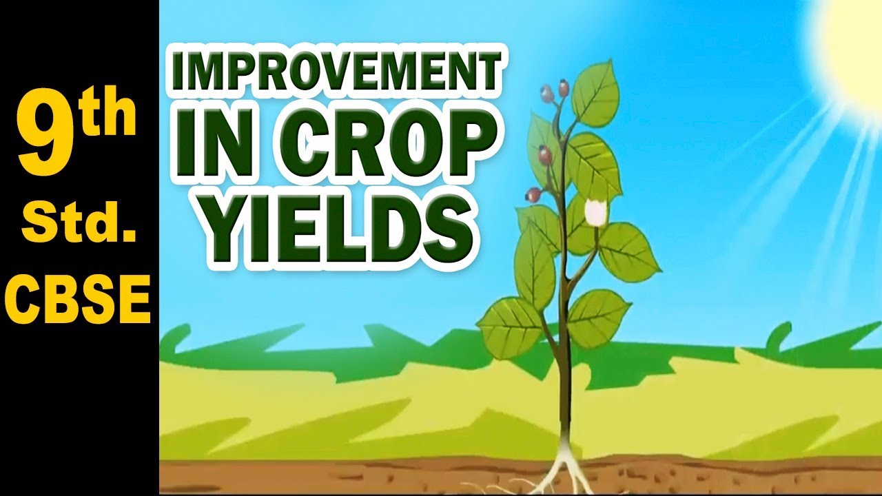 Improvement in Crop Yields | Class 9 | Science | CBSE Board | Home Revise