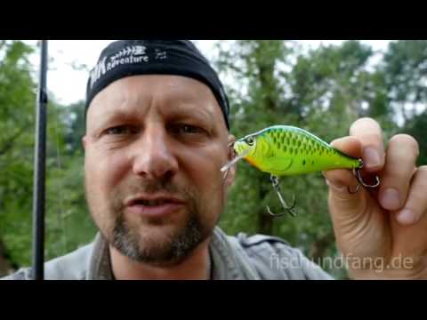 It's back! The FISCH & FANG Jubi-Wobbler