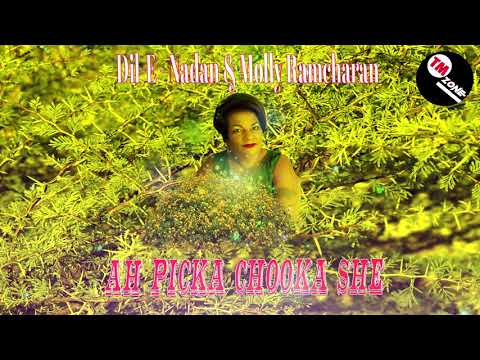 Dil-E-Nadan  & Molly Ramcharan  - Ah Picka Chooka She
