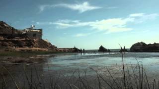 "Sun Kil Moon" - Under the Canopy